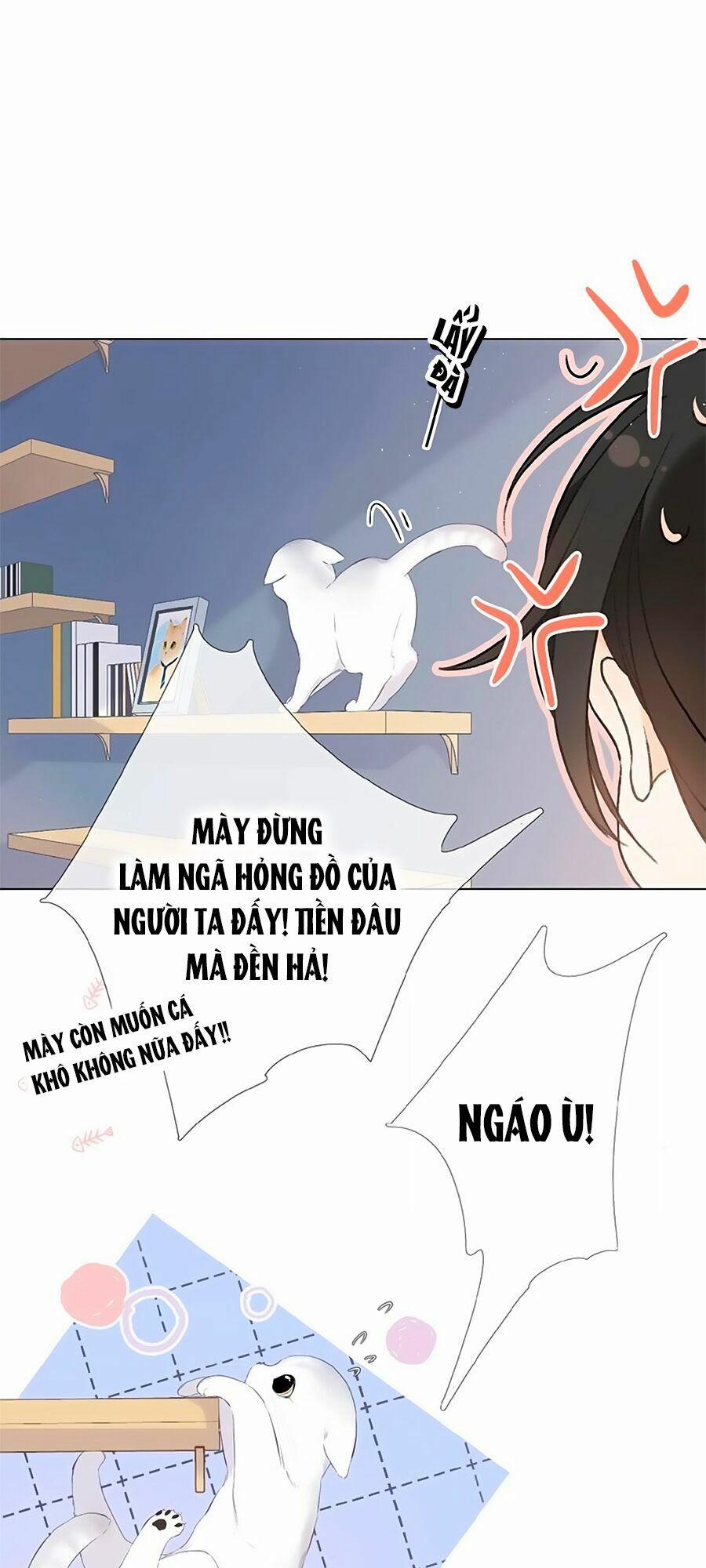 Lại Gặp Được Em 4 trang 14