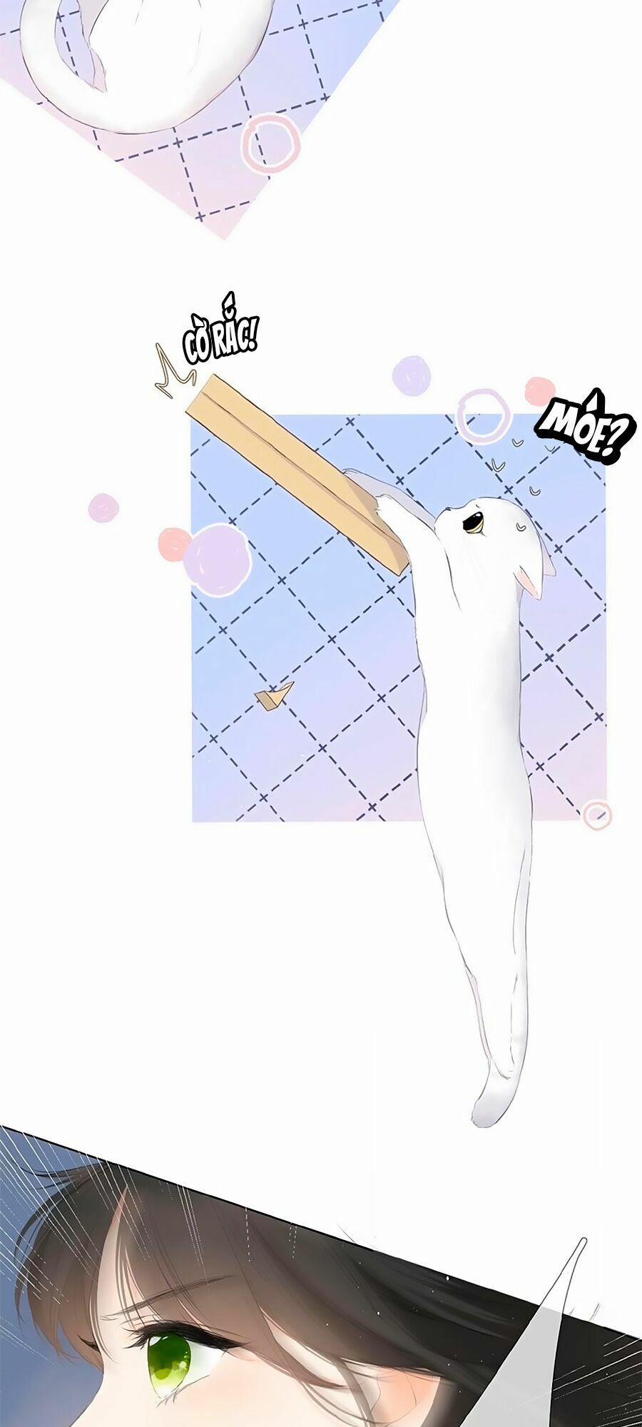 Lại Gặp Được Em 4 trang 15