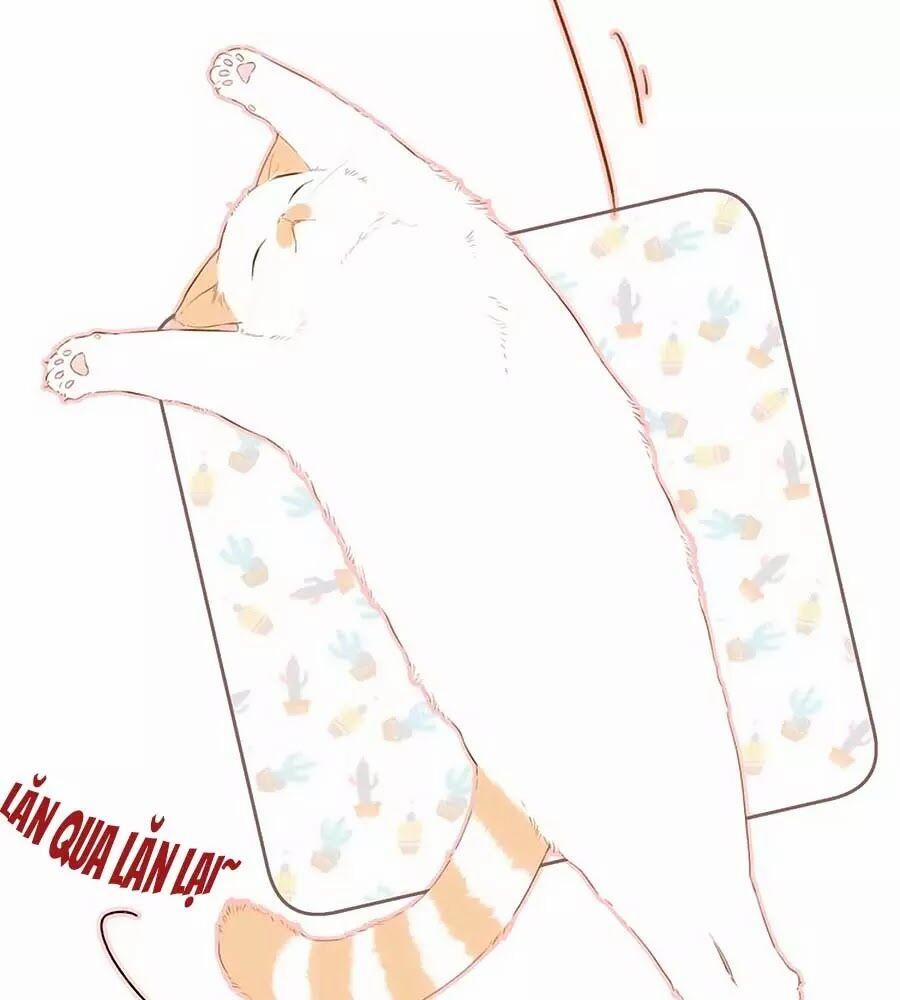 Lại Gặp Được Em 40.5 trang 1