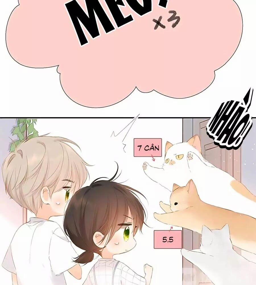 Lại Gặp Được Em 40.5 trang 8