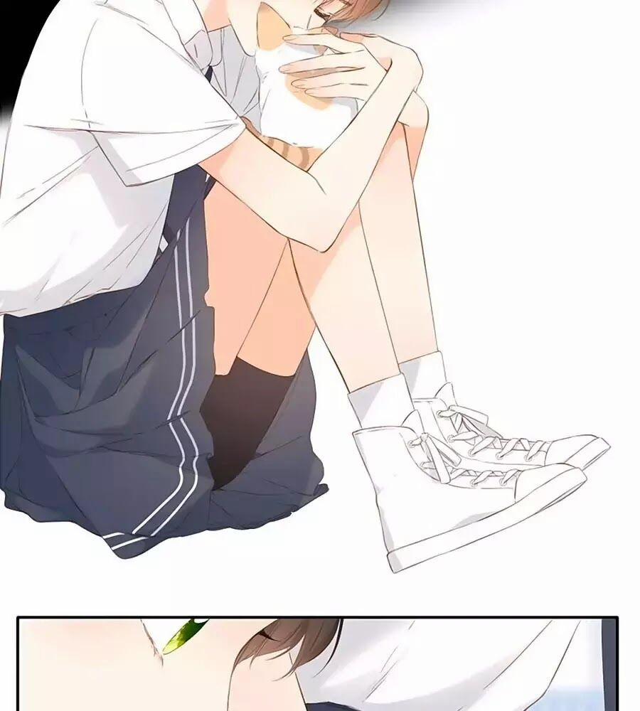 Lại Gặp Được Em 42 trang 19