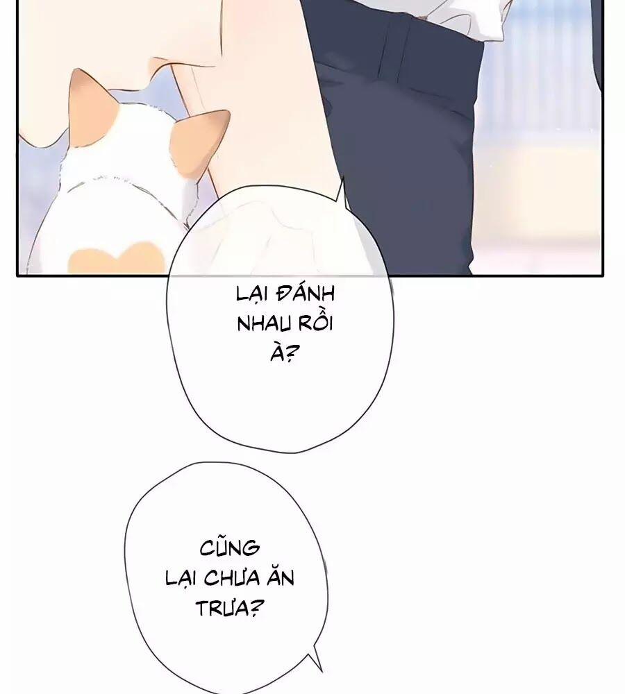 Lại Gặp Được Em 42 trang 20