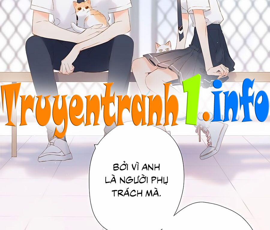 Lại Gặp Được Em 52 trang 8