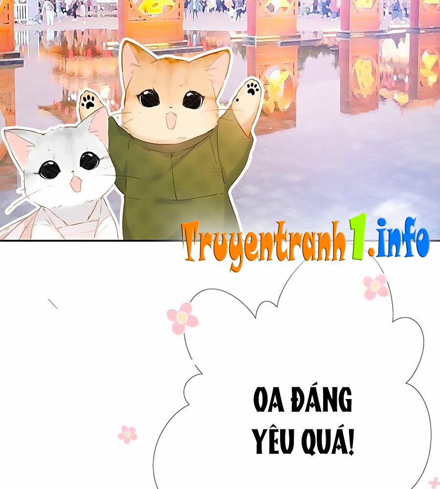 Lại Gặp Được Em 54.5 trang 15