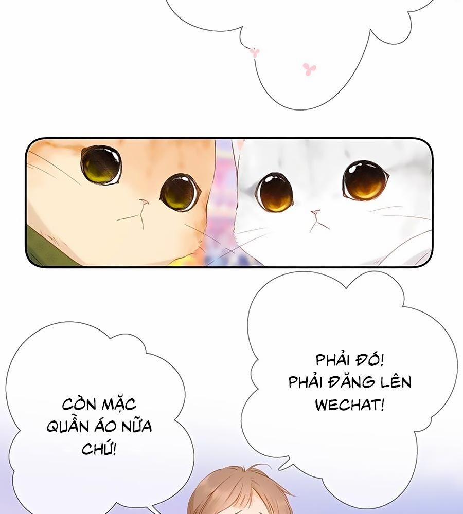 Lại Gặp Được Em 54.5 trang 16