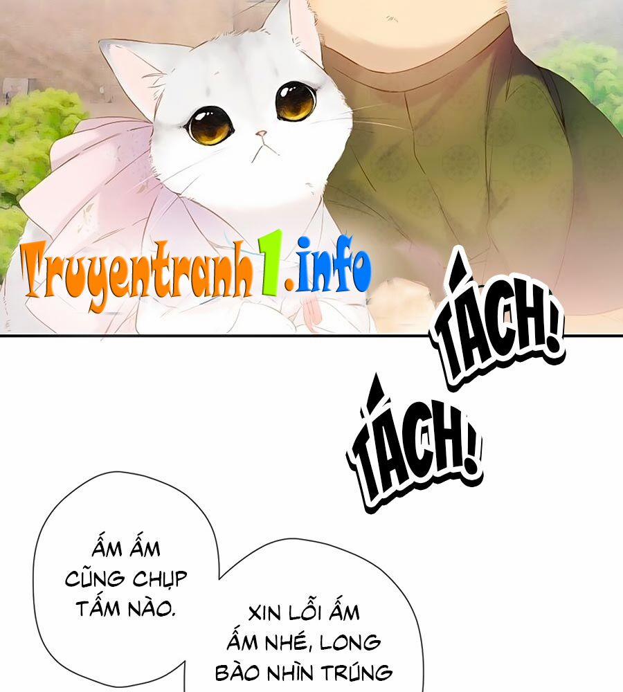 Lại Gặp Được Em 54.5 trang 2