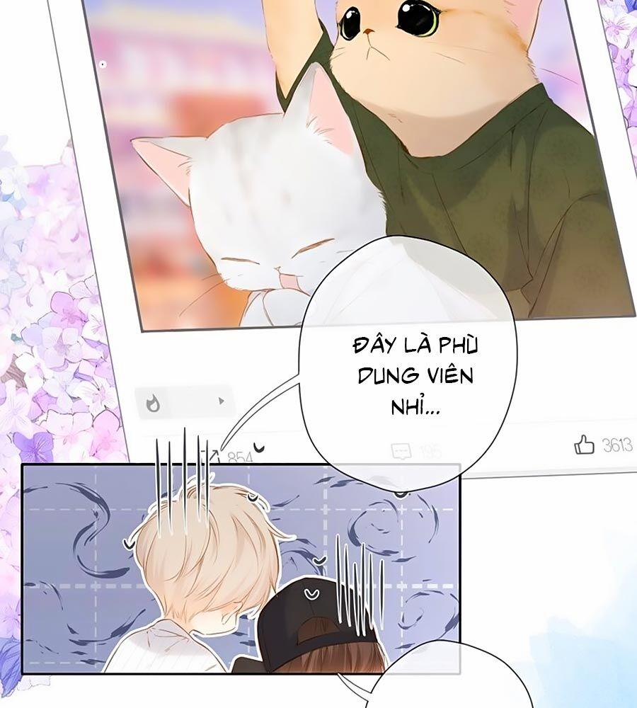 Lại Gặp Được Em 54.5 trang 22