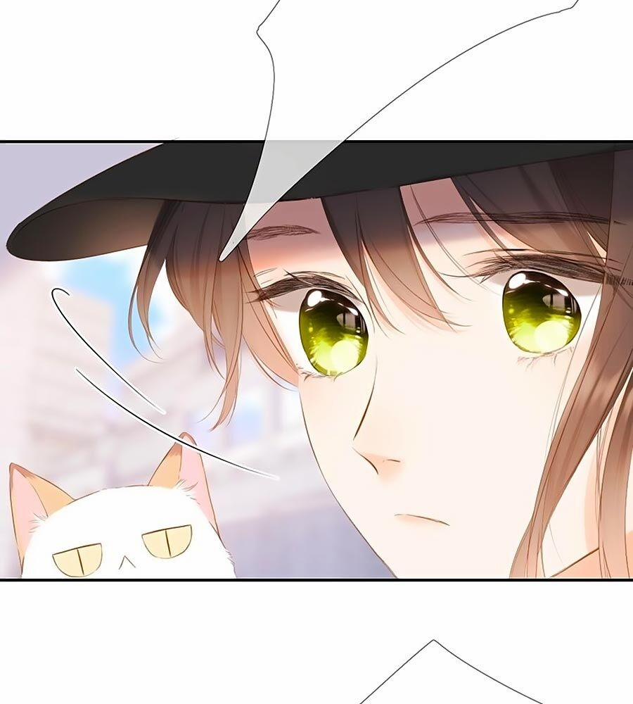 Lại Gặp Được Em 54.5 trang 4