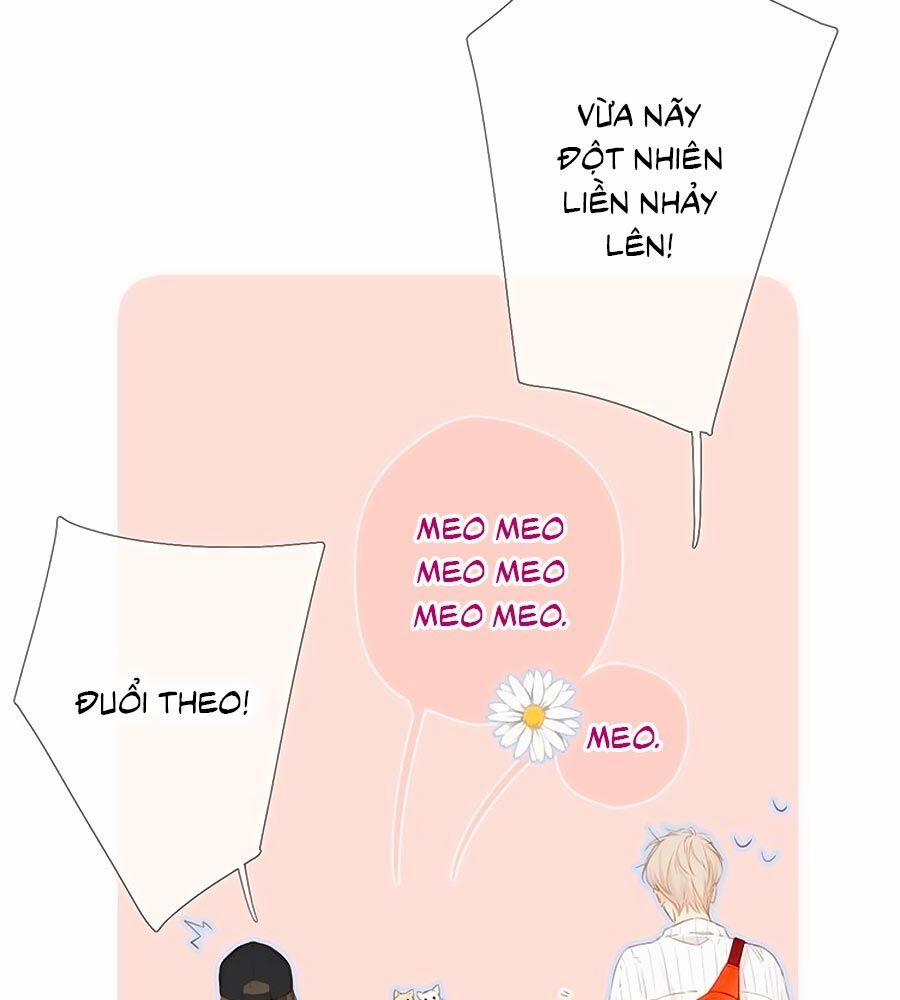 Lại Gặp Được Em 54.5 trang 5