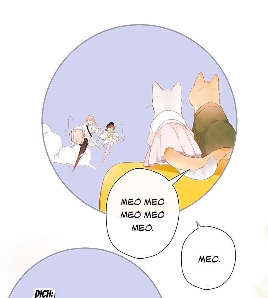 Lại Gặp Được Em 54.5 trang 7