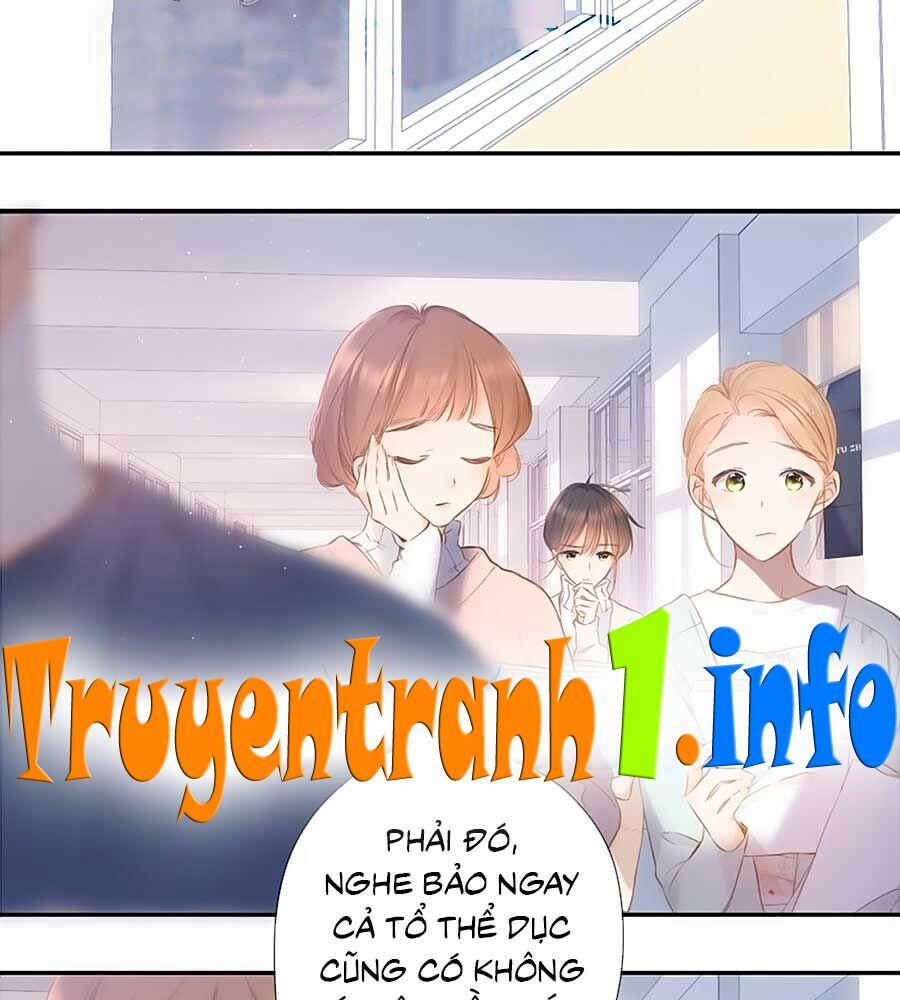 Lại Gặp Được Em 54 trang 11