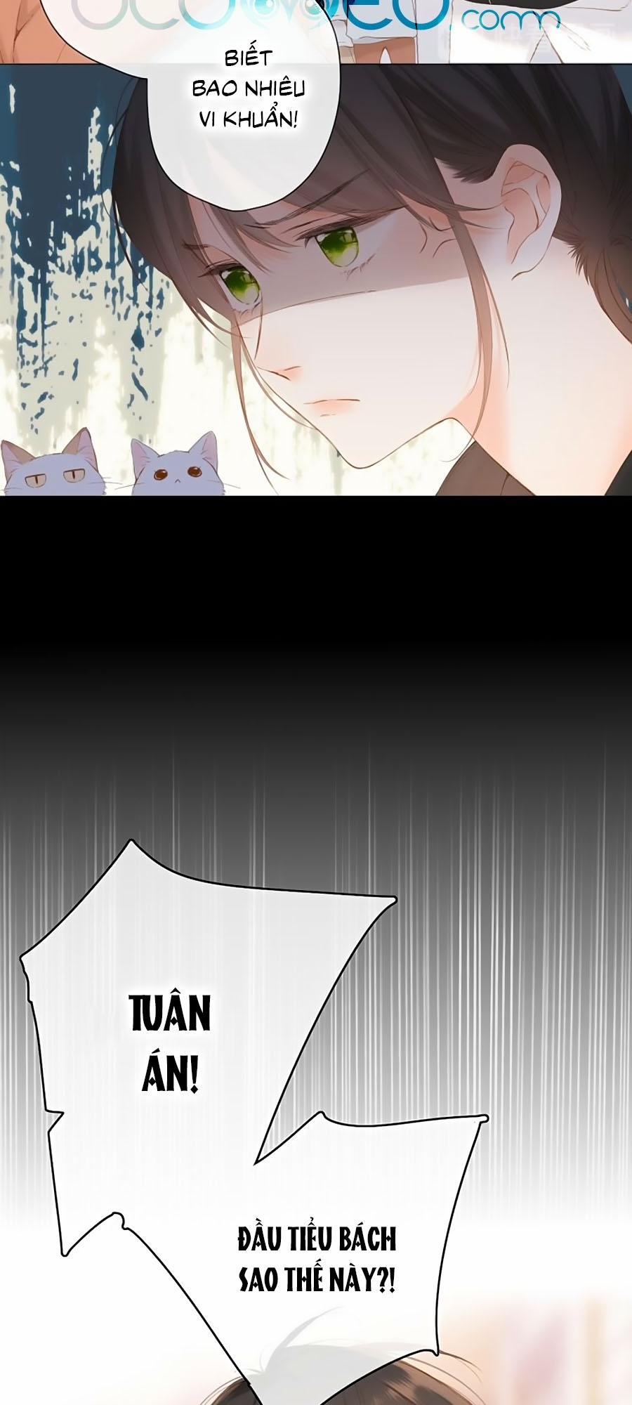 Lại Gặp Được Em 64 trang 24