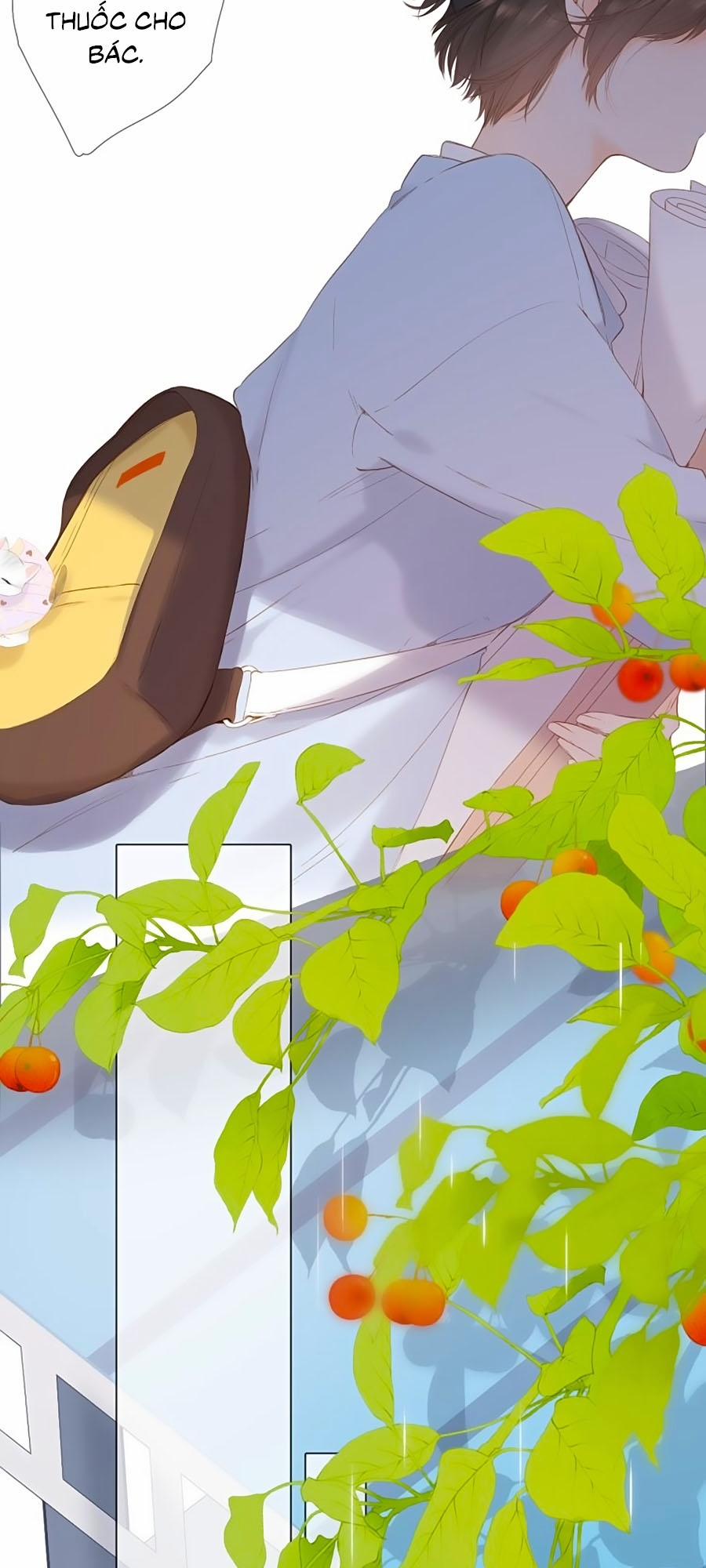 Lại Gặp Được Em 67 trang 20