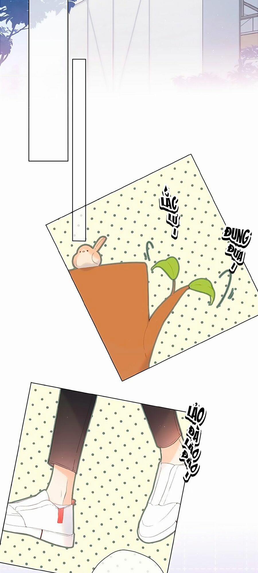 Lại Gặp Được Em 7 trang 13