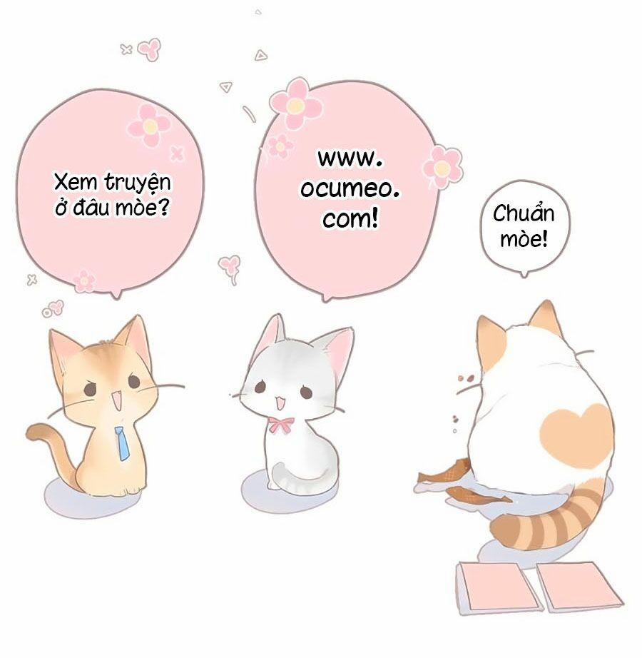 Lại Gặp Được Em 82 trang 25