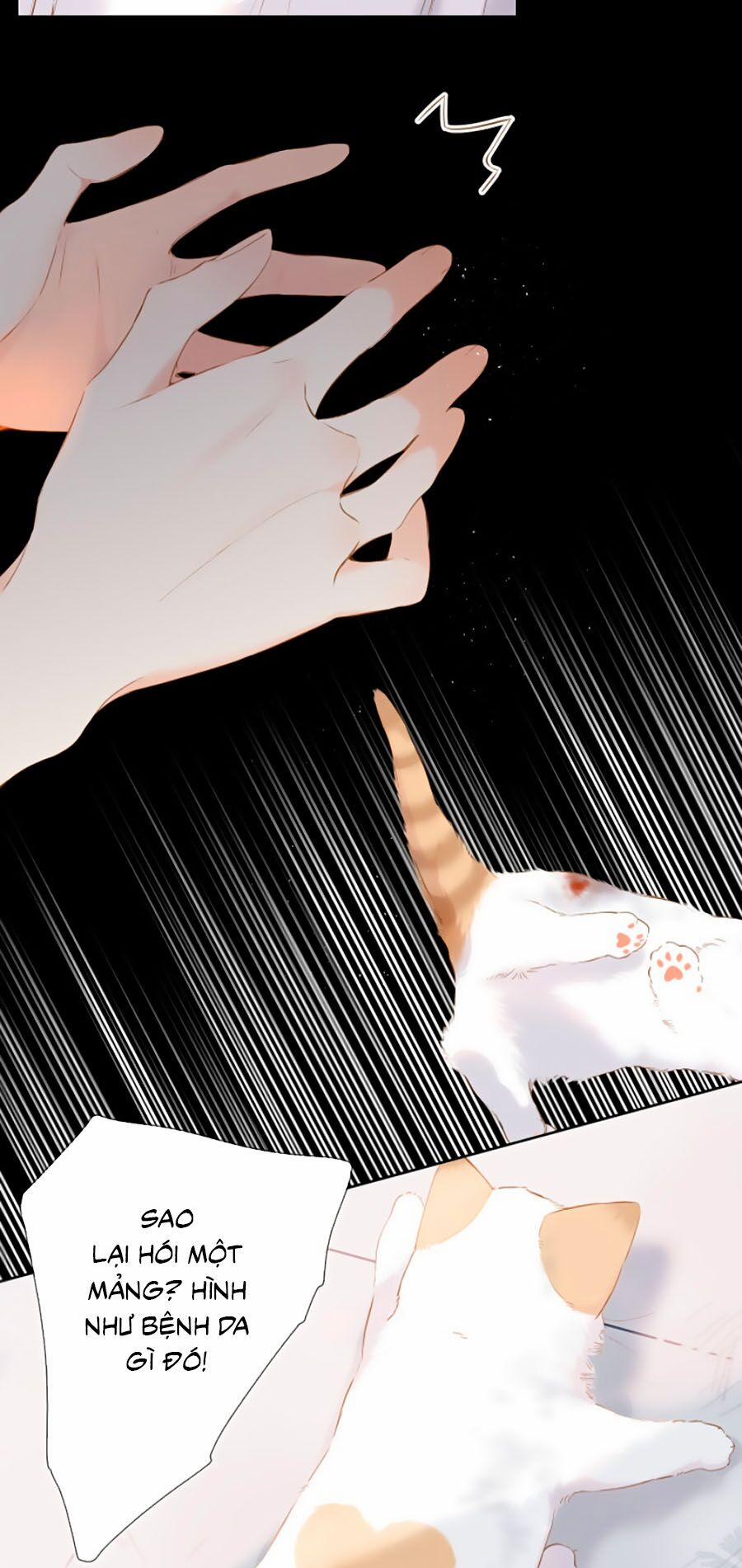 Lại Gặp Được Em 87 trang 2