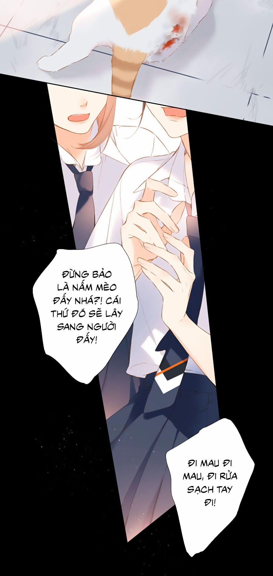 Lại Gặp Được Em 87 trang 3