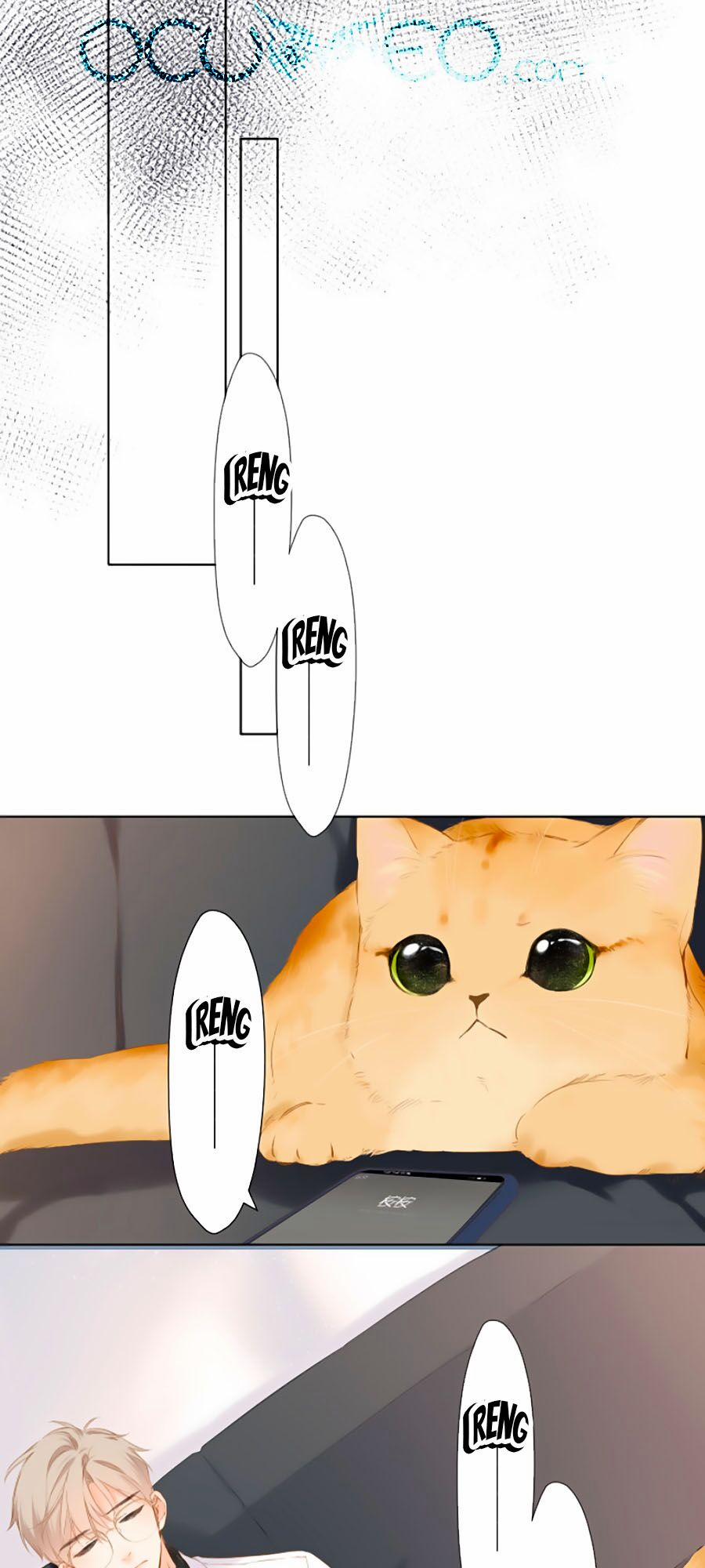 Lại Gặp Được Em 87 trang 56