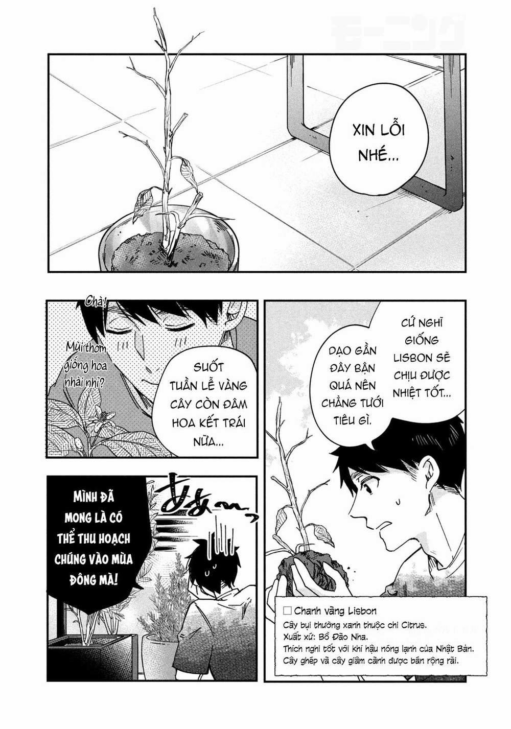 Lại Gặp Nhau Ở Ban Công Rồi 2 trang 6