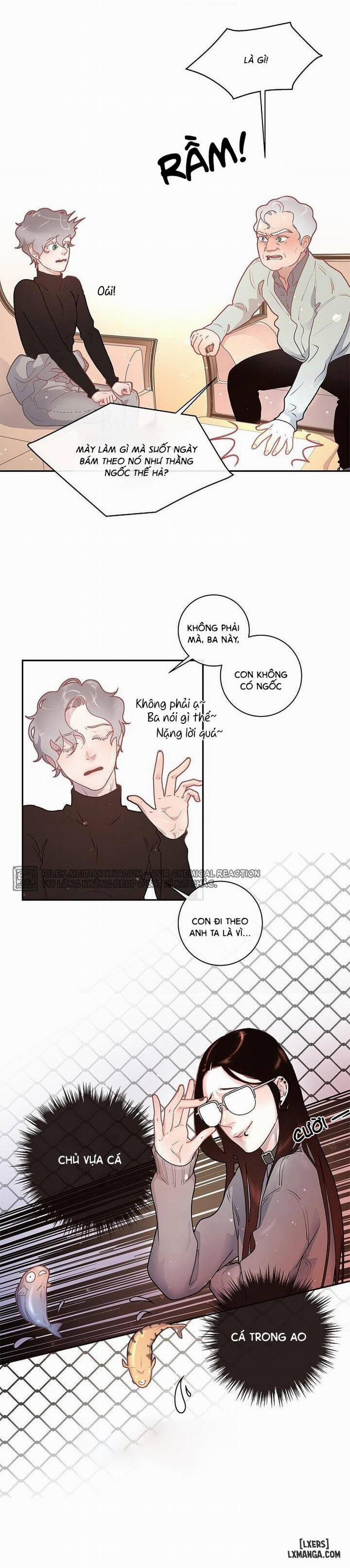 Làm cách nào để theo đuổi một Alpha? 17 trang 11