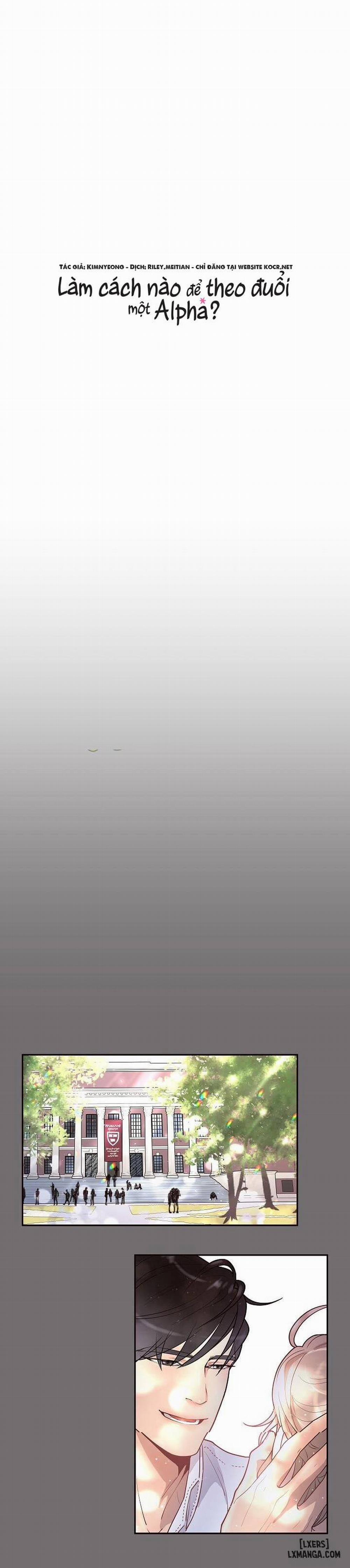 Làm cách nào để theo đuổi một Alpha? 19 trang 3