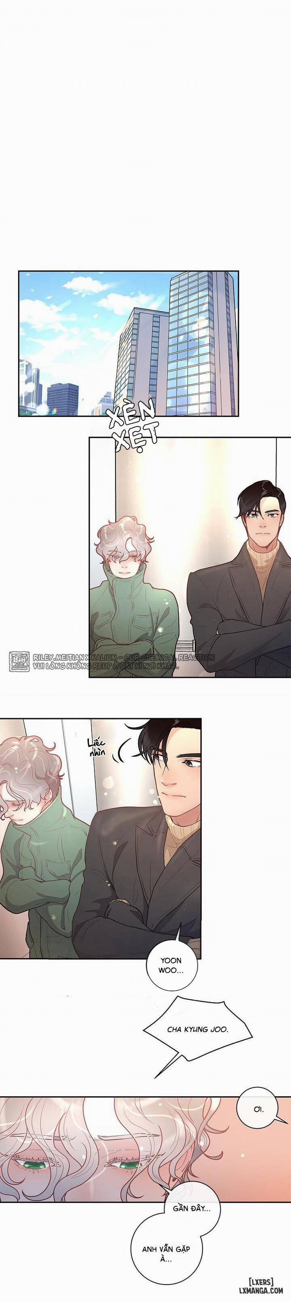 Làm cách nào để theo đuổi một Alpha? 23 trang 12