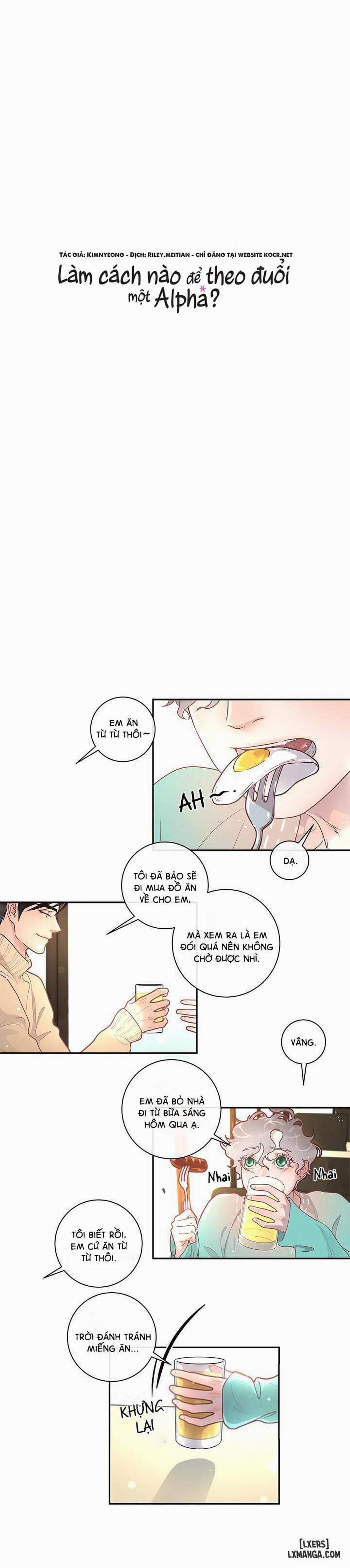 Làm cách nào để theo đuổi một Alpha? 23 trang 8