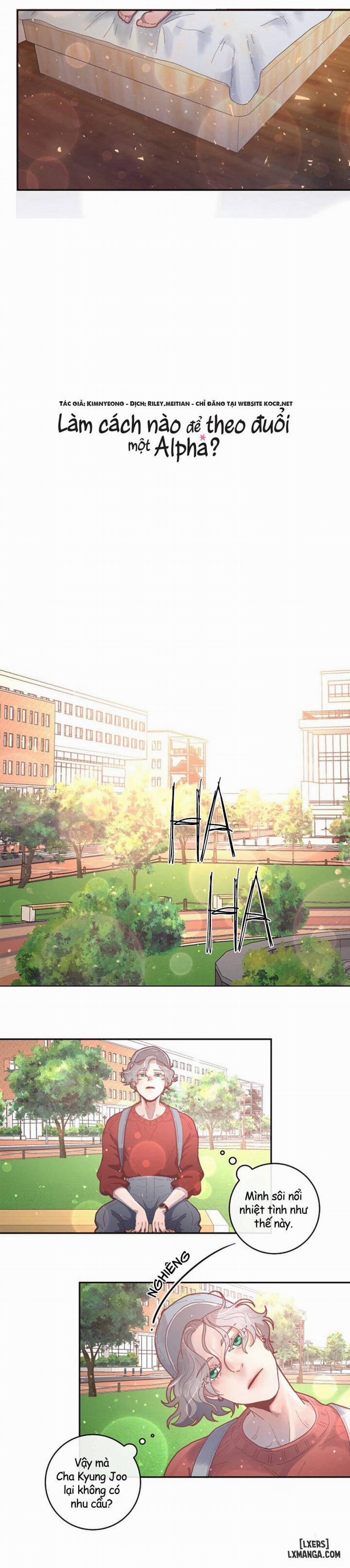 Làm cách nào để theo đuổi một Alpha? 28 trang 10