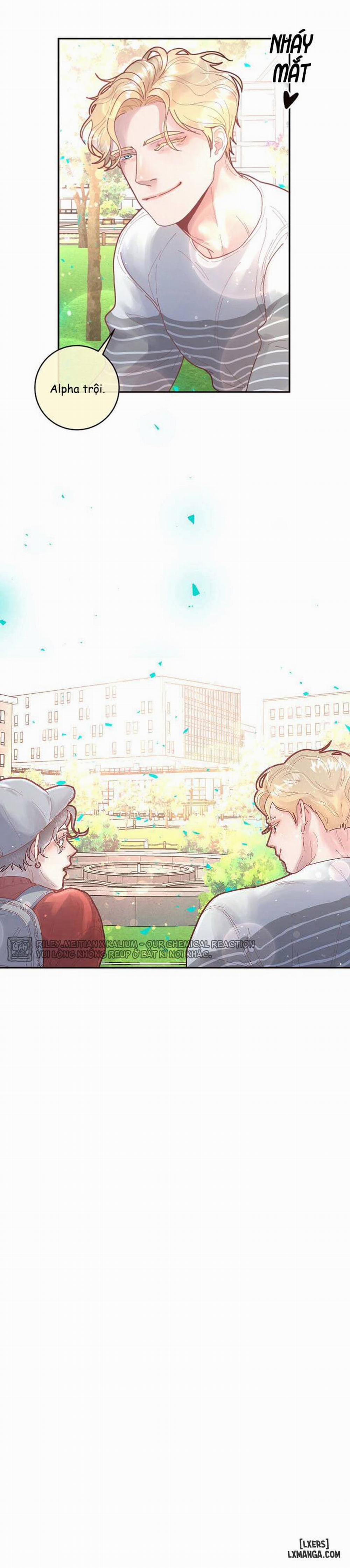 Làm cách nào để theo đuổi một Alpha? 28 trang 15