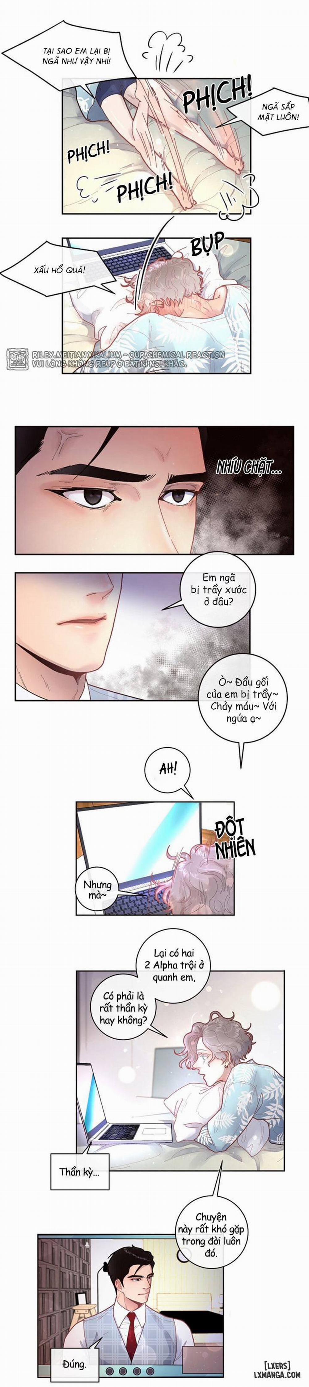 Làm cách nào để theo đuổi một Alpha? 29 trang 6