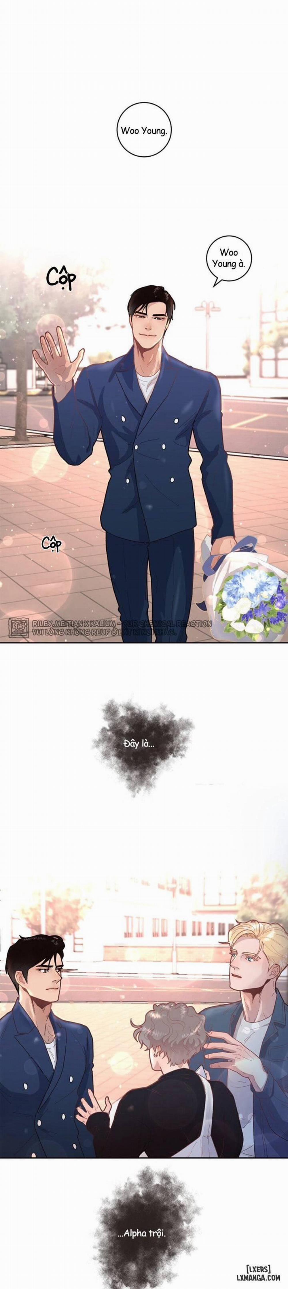 Làm cách nào để theo đuổi một Alpha? 31 trang 1