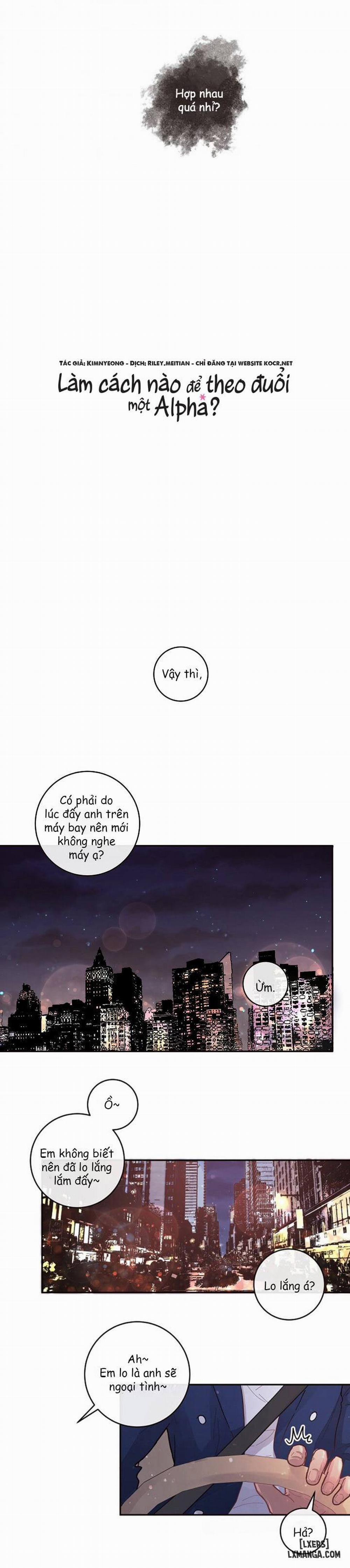 Làm cách nào để theo đuổi một Alpha? 31 trang 8