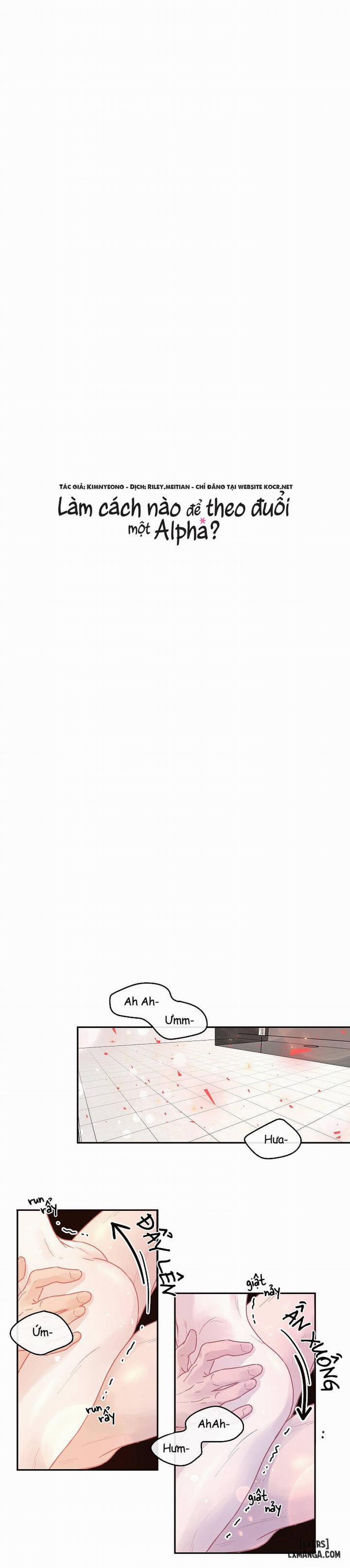 Làm cách nào để theo đuổi một Alpha? 33 trang 7