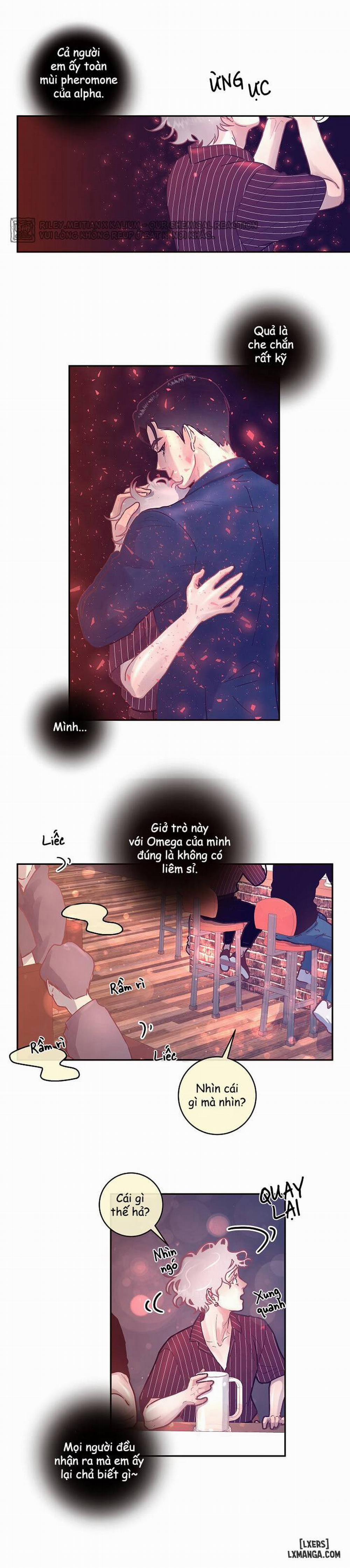 Làm cách nào để theo đuổi một Alpha? 34 trang 12