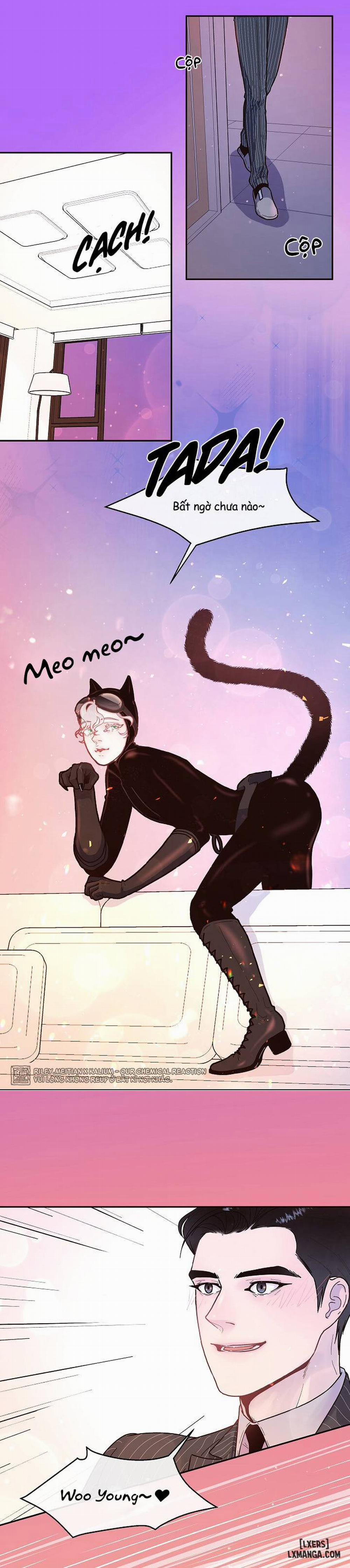 Làm cách nào để theo đuổi một Alpha? 40 trang 10