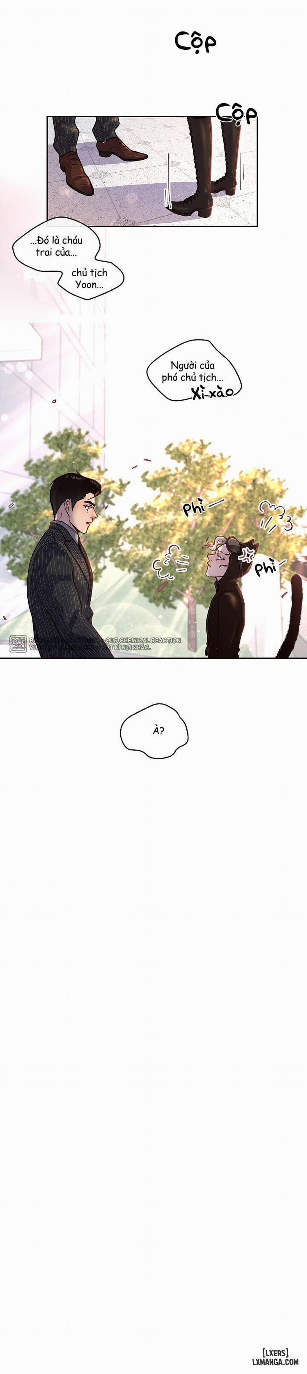 Làm cách nào để theo đuổi một Alpha? 40 trang 14