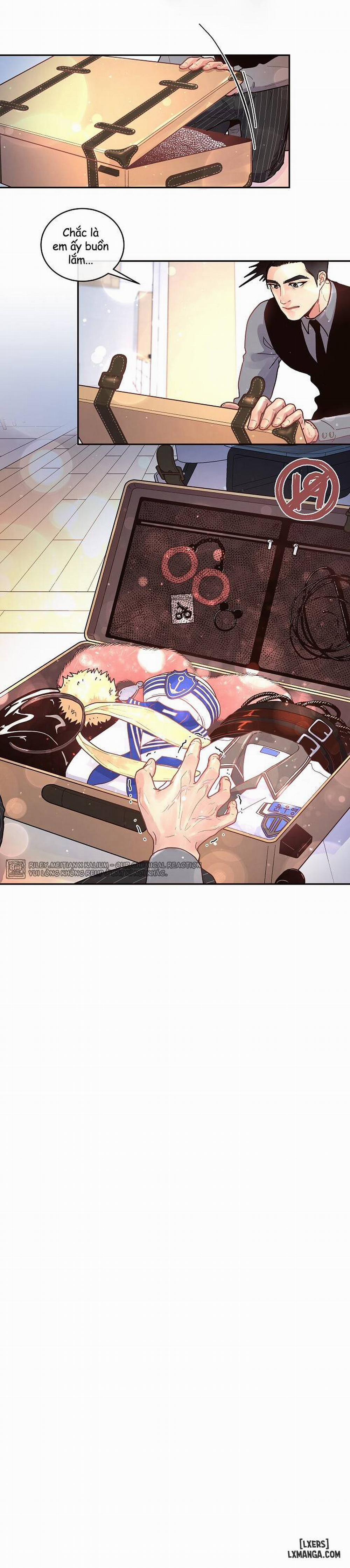 Làm cách nào để theo đuổi một Alpha? 41 trang 15