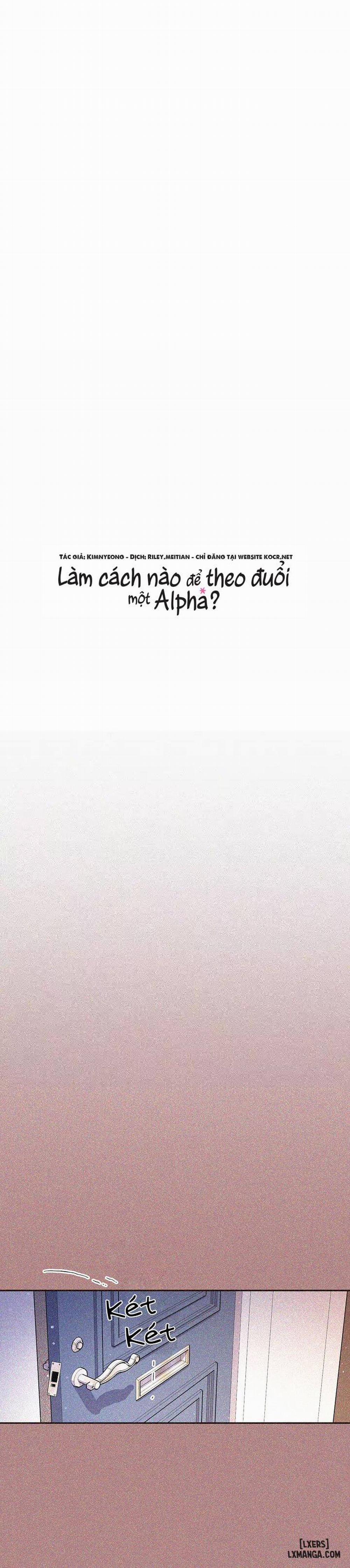 Làm cách nào để theo đuổi một Alpha? 45 trang 5