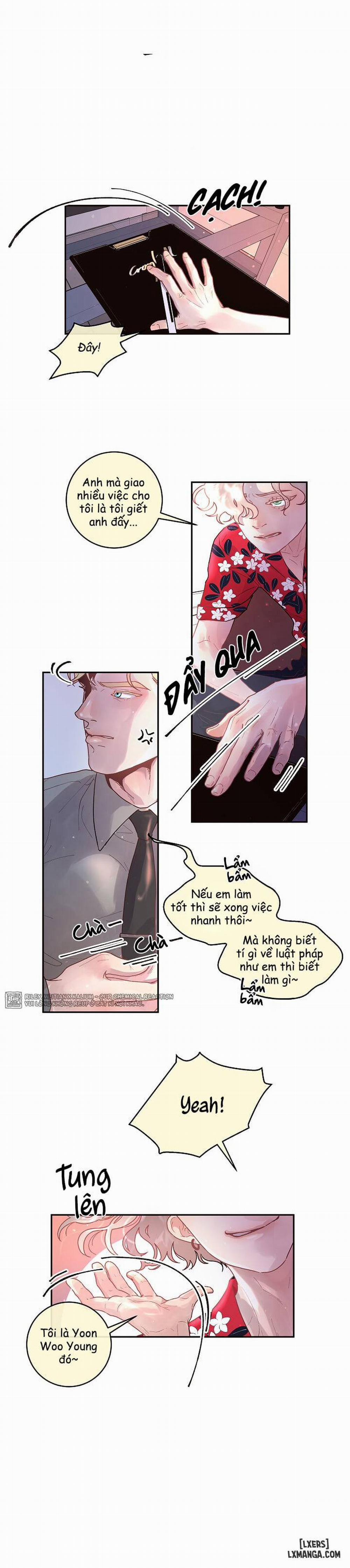 Làm cách nào để theo đuổi một Alpha? 48 trang 14