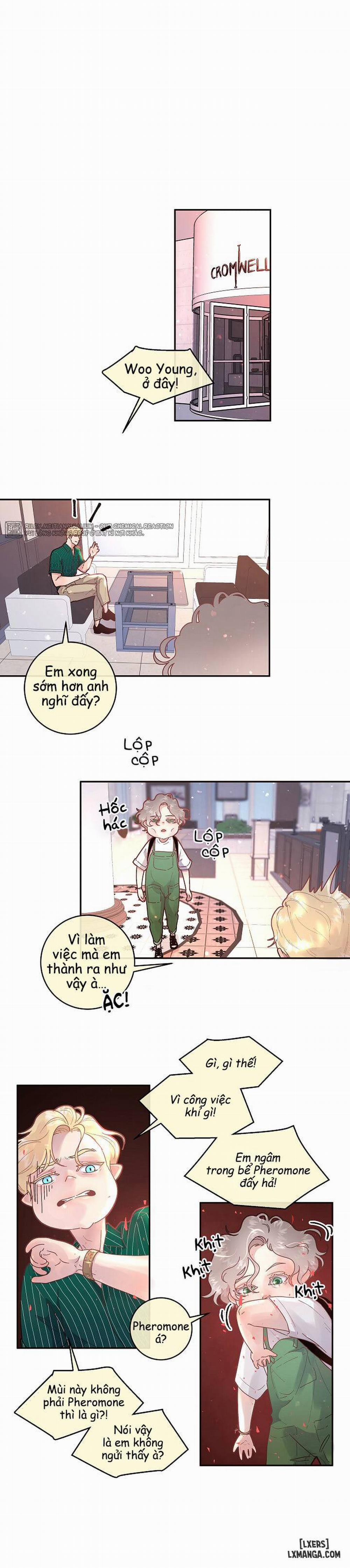 Làm cách nào để theo đuổi một Alpha? 50 trang 15