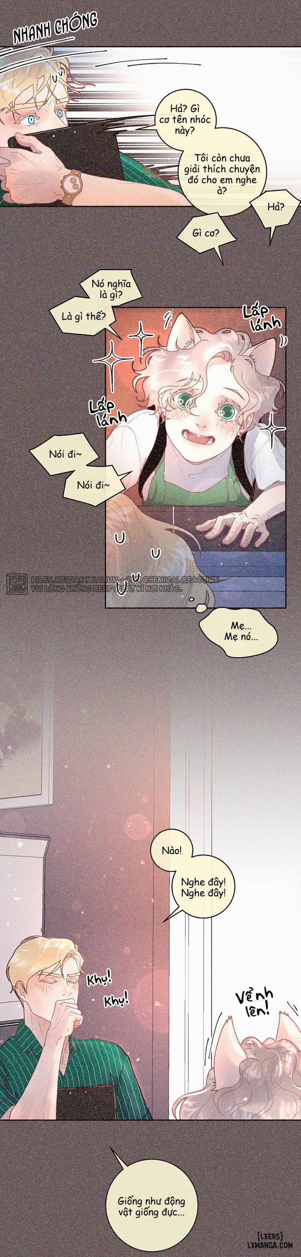 Làm cách nào để theo đuổi một Alpha? 51 trang 3