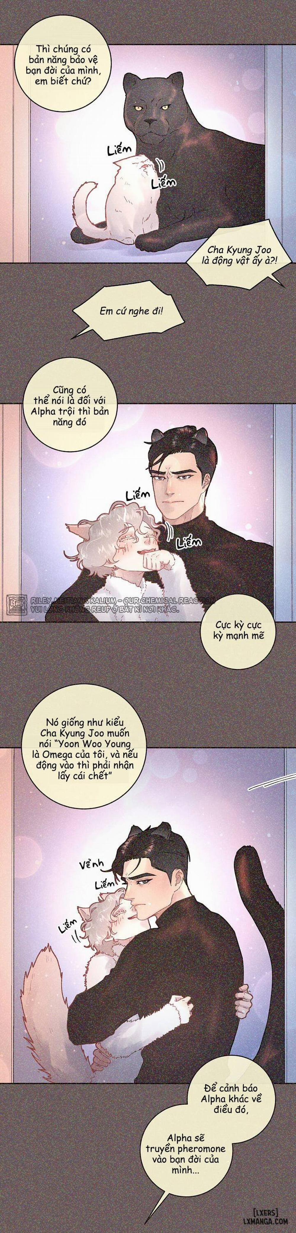 Làm cách nào để theo đuổi một Alpha? 51 trang 4