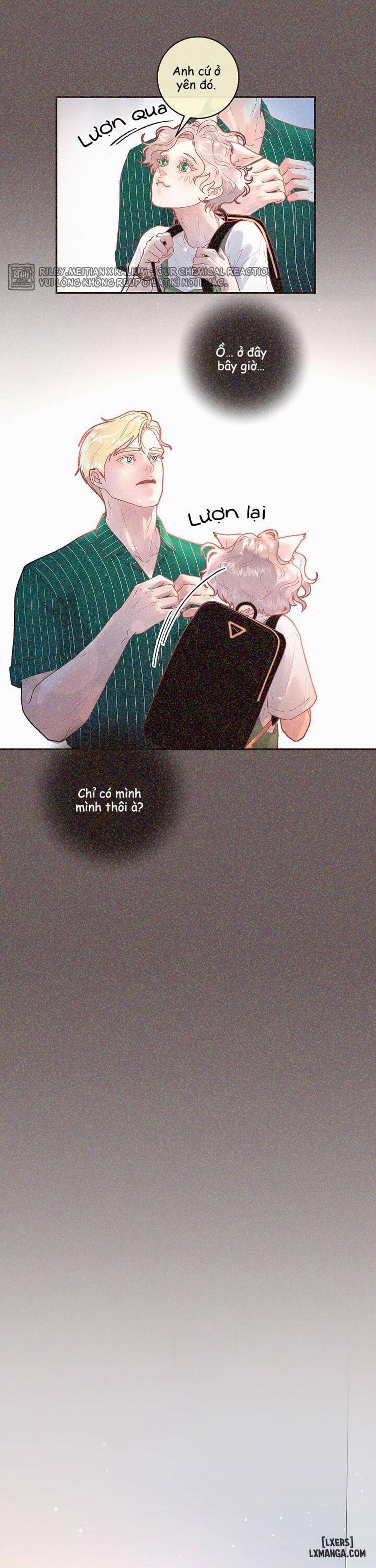 Làm cách nào để theo đuổi một Alpha? 51 trang 7