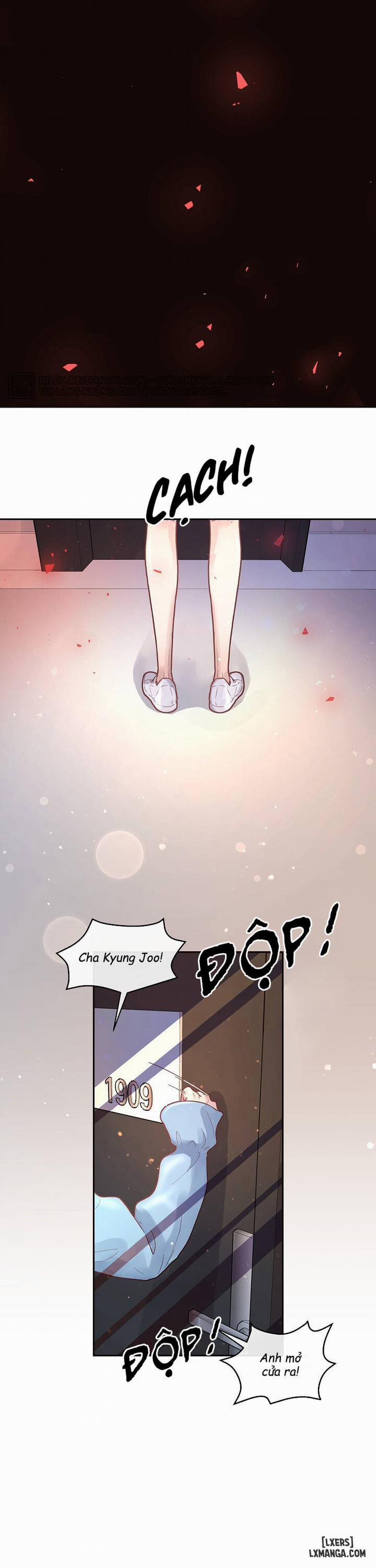 Làm cách nào để theo đuổi một Alpha? 52 trang 16