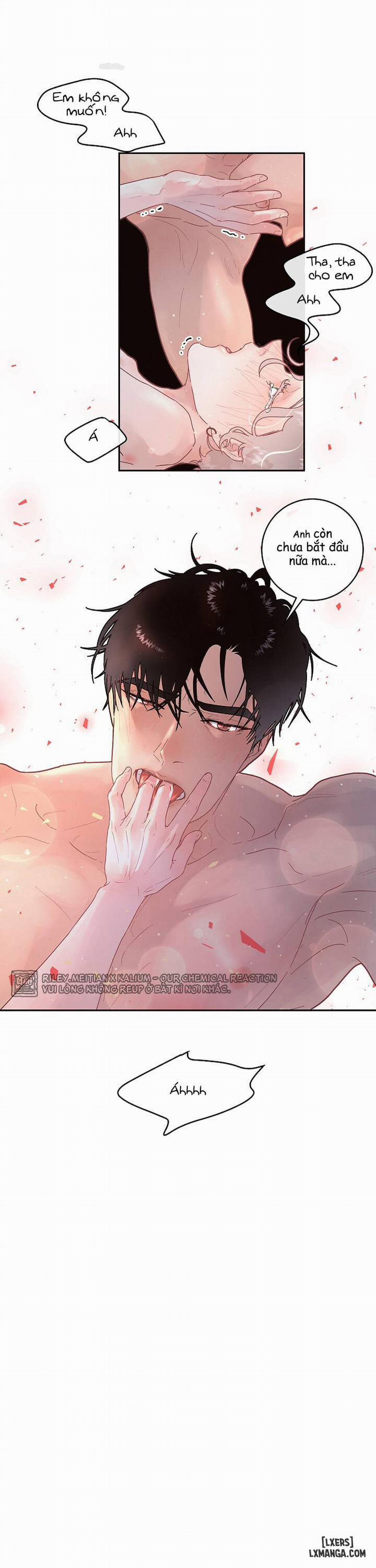 Làm cách nào để theo đuổi một Alpha? 53 trang 12