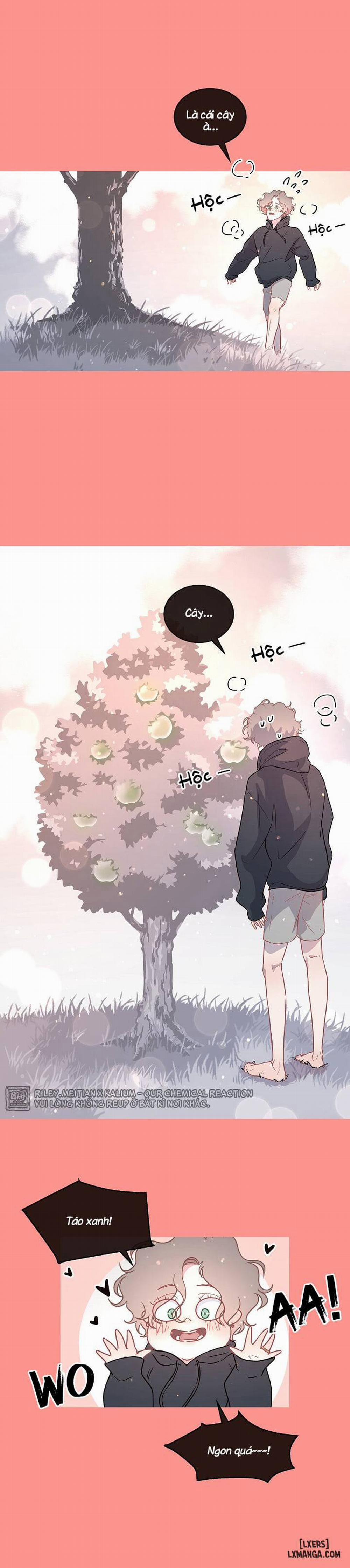 Làm cách nào để theo đuổi một Alpha? 58 trang 6