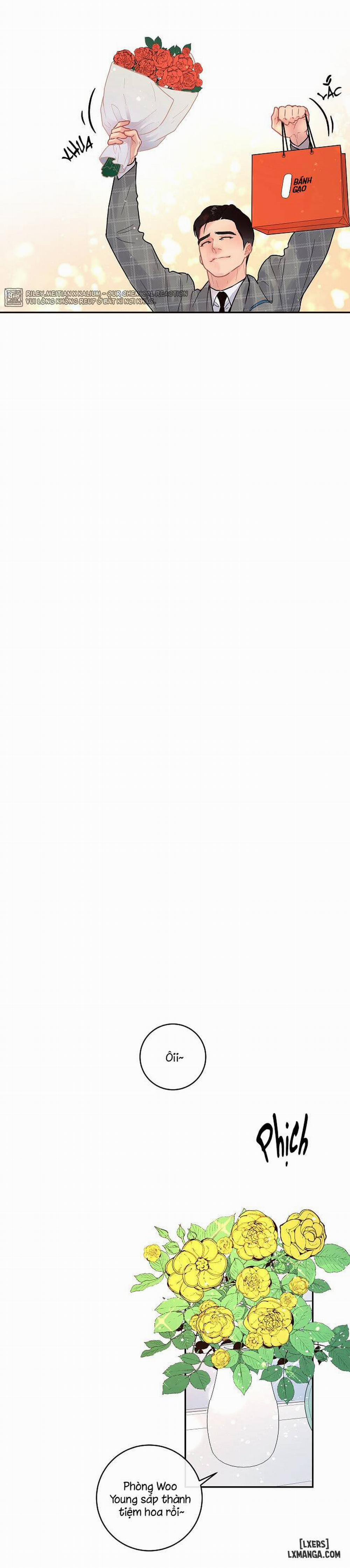 Làm cách nào để theo đuổi một Alpha? 62 trang 15