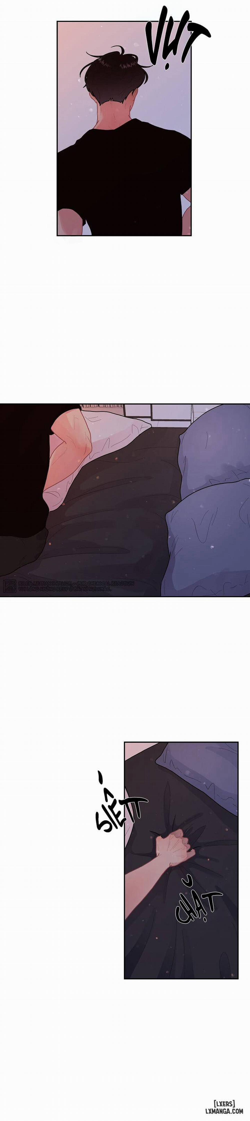 Làm cách nào để theo đuổi một Alpha? 63 trang 12