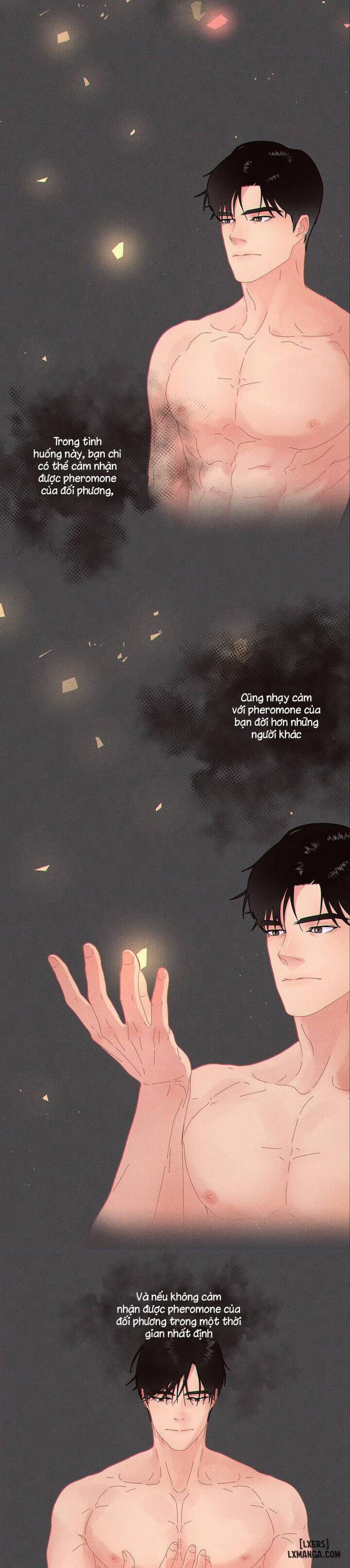 Làm cách nào để theo đuổi một Alpha? 66 trang 7