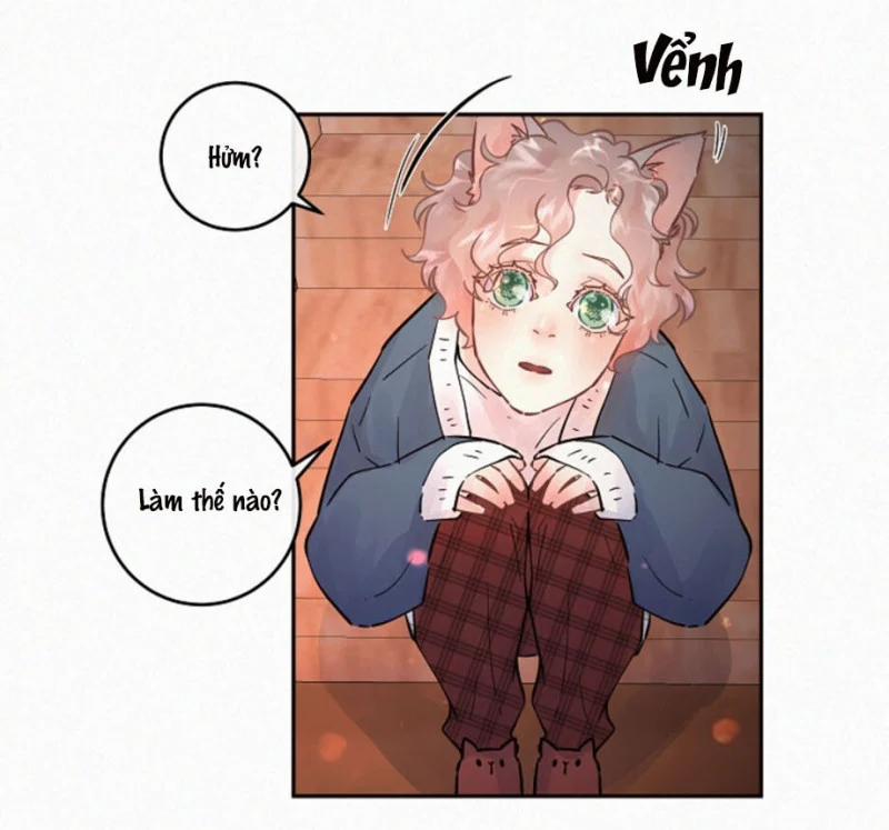 Làm cách nào để theo đuổi một Alpha? 84.13 trang 6